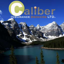 Caliber Insurance Brokers - Auto Insurance